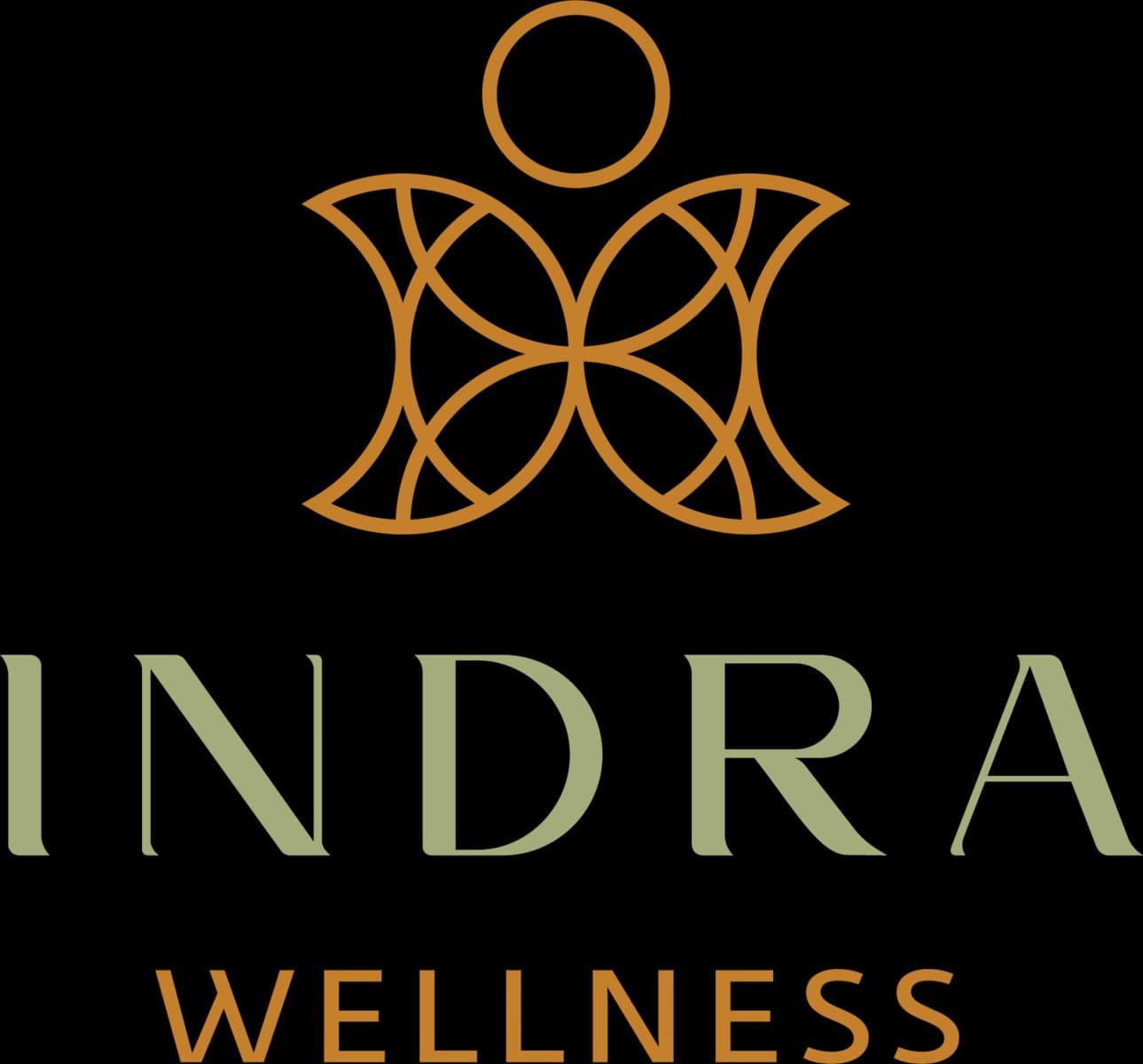 Imagen de Indra Ayurveda center